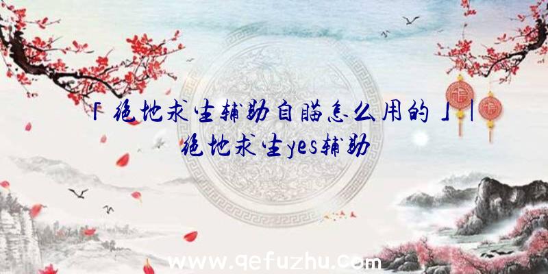 「绝地求生辅助自瞄怎么用的」|绝地求生yes辅助